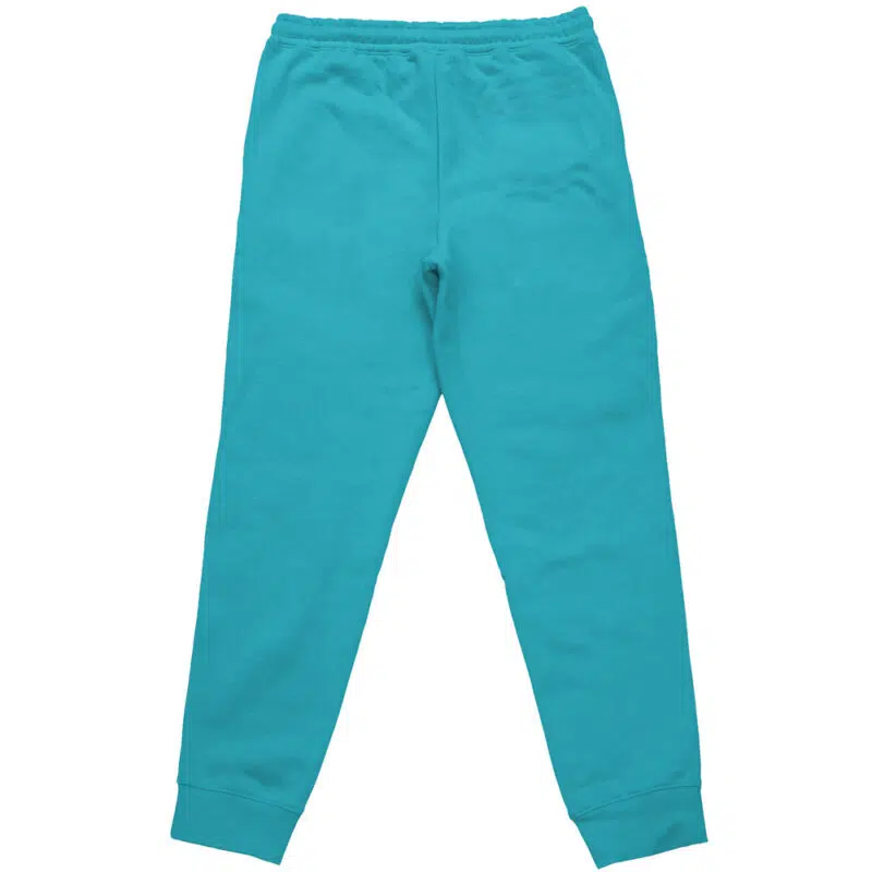 Flying Type Pokemon Streetwear Sweatpants - Image 2