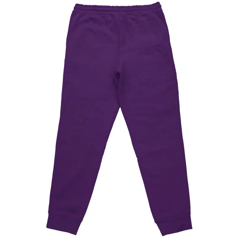 Psychic Type Pokemon Streetwear Sweatpants - Image 2