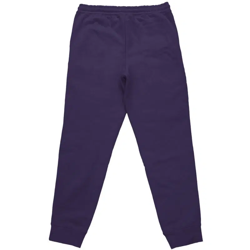 Kingdom of Science Dr. Stone Streetwear Sweatpants - Image 2