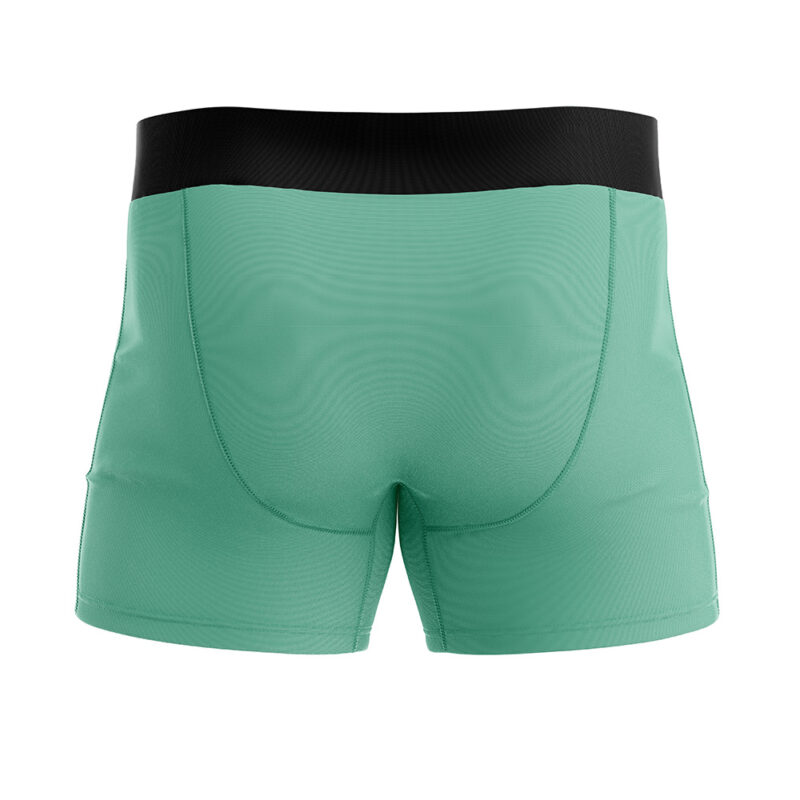 Bulbasaur Pokemon Boxer Briefs Men’s Underwear - Image 3