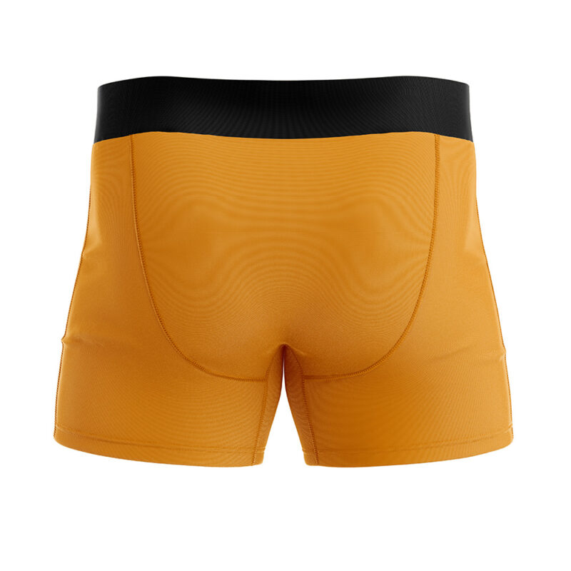Charizard Pokemon Boxer Briefs Men’s Underwear - Image 3