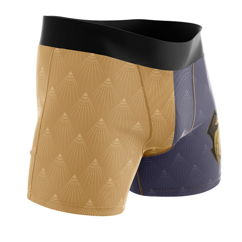 Hogwarts Legacy Hufflepuff Harry Potter Boxer Briefs Men's Underwear - Image 2