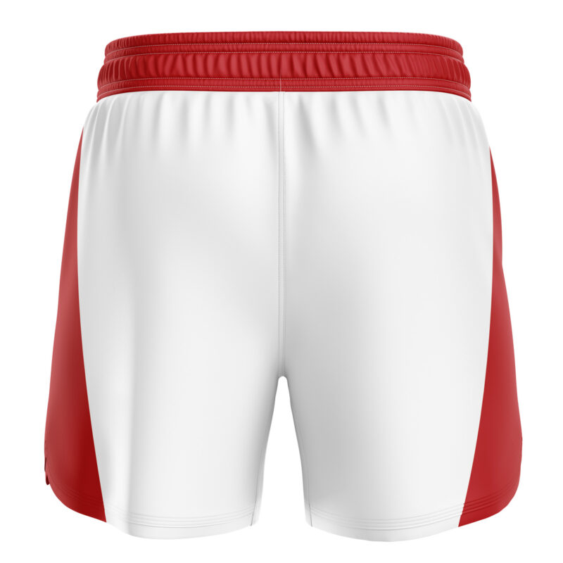 Omni Man Invincible BJJ MMA Fight Shorts - Image 2