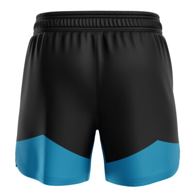 BJJ-MMA-Fight-Shorts-back-39-