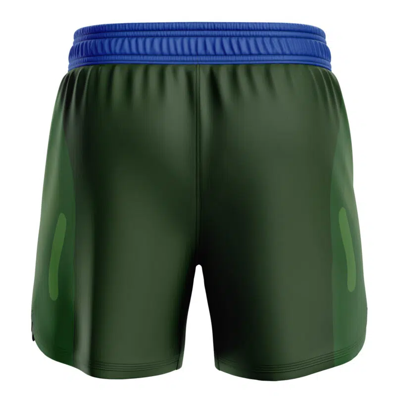 Leonardo Teenage Mutant Ninja Turtles BJJ MMA Fight Shorts - Image 2