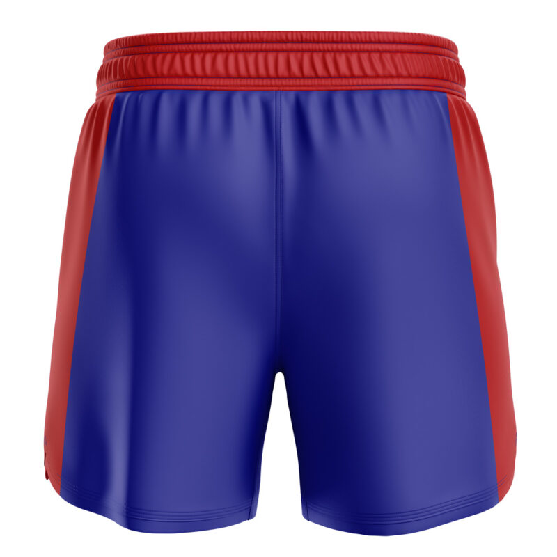 Sagat Street Fighter BBJ MMA Fight Shorts - Image 2