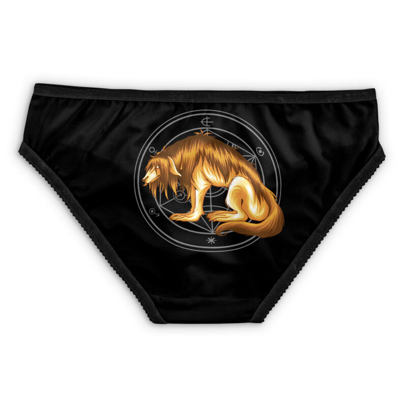 Central City Chimeras Full Metal Alchemist Panties - Image 2