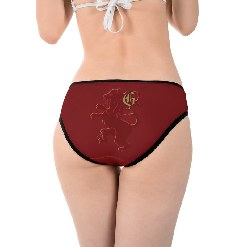Gryffindor Hogwarts Legacy Panties - Image 4