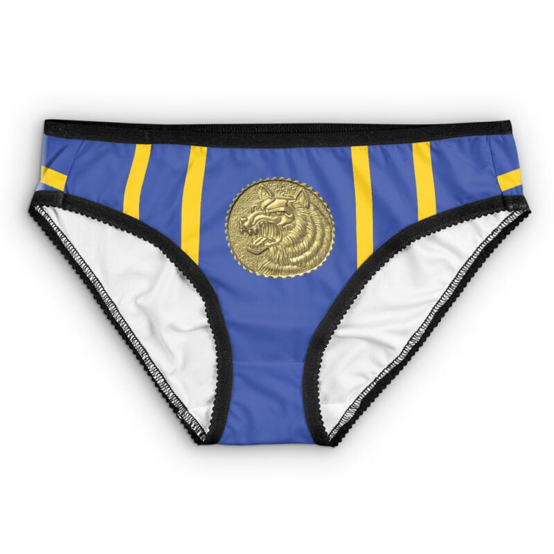 Blue Ranger Ninjetti Power Rangers Panties