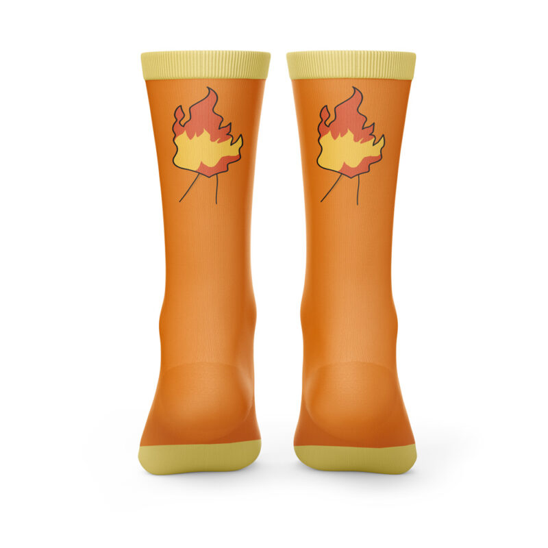 Charmander Pokemon Socks